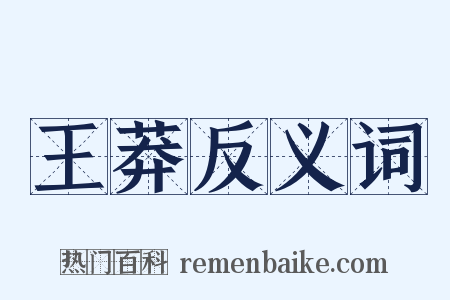 王莽反义词是什么意思的图片